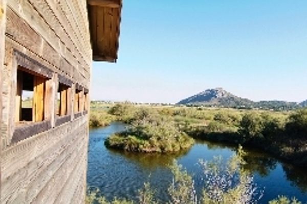 Hotel PortBlue Club Pollentia Resort & SPA (Alcúdia)